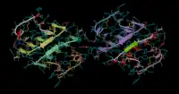 3D molecular structure of insulin detemir, displaying two symmetrical protein chains with color-coded secondary structures, including helices and beta sheets, against a black background