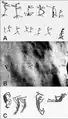 Rock art from other sites from comparison. 'c' is located ca. 1500 km from L.Santo.